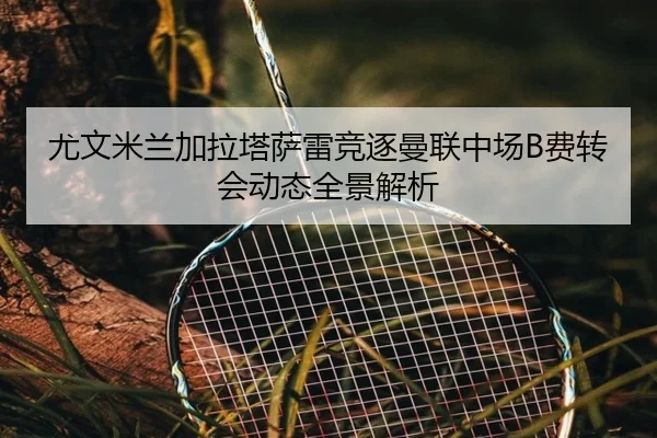 尤文米兰加拉塔萨雷竞逐曼联中场B费转会动态全景解析